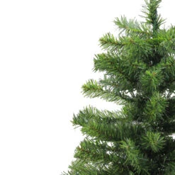 2' Medium Canadian Pine Artificial Christmas Tree - Unlit 8 2' Medium Canadian Pine Artificial Christmas Tree - Unlit -Optimal Christmas Shop j4dqfq8mnros6hr5k49xrbsc8kh2a3yo 22939.1667575617
