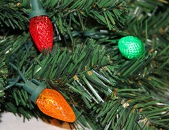 20' Pre-Lit Everest Fir Commercial Tower Christmas Tree - Multicolor C7 LED Lights 8 20' Pre-Lit Everest Fir Commercial Tower Christmas Tree - Multicolor C7 LED Lights -Optimal Christmas Shop k3uhzdtonectf1jcp0hgrbsfk5qcrgou 10748.1680153245