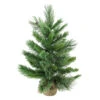2' Potted Mixed Cashmere Pine Medium Artificial Christmas Tree, Unlit 2 2' Potted Mixed Cashmere Pine Medium Artificial Christmas Tree, Unlit -Optimal Christmas Shop kdishopfktf1gep6vvndqjuwathvudb8 91095.1683644084