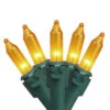 150-Count Gold Chasing 8-Function Mini Christmas Light Set, 31.25ft Green Wire 1 150-Count Gold Chasing 8-Function Mini Christmas Light Set, 31.25ft Green Wire -Optimal Christmas Shop kt8ank7msulxtze6dcplfvmb98tpxzt4 35 1 89185.1667575920