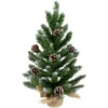 24" Frosted Norway Pine With Pine Cones Medium Artificial Christmas Tree, Unlit 1 24" Frosted Norway Pine With Pine Cones Medium Artificial Christmas Tree, Unlit -Optimal Christmas Shop l2hknhlwv7g6dn1utzbpuhnvfpbnutuy 59591.1684955882