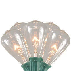 10-Count Clear Edison Glass Patio Lights, 9ft Green Wire