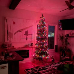 Set Of 300 Multi-Color Mini Christmas Lights 2.5" Spacing - Green Wire -Optimal Christmas Shop northlight20nl02363 cxpic2 73701.1669226800