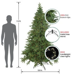 7.5' Pre-Lit Birch River Fir Artificial Christmas Tree, Candlelight Clear Lights 10 7.5' Pre-Lit Birch River Fir Artificial Christmas Tree, Candlelight Clear Lights -Optimal Christmas Shop northlight20sm92997 81749.1667535769