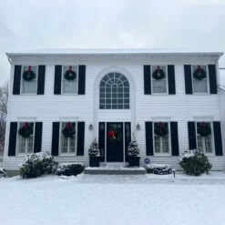 Lush Mixed Pine Artificial Christmas Wreath, 24-Inch, Unlit -Optimal Christmas Shop northlight20v03944 cxpic 11227.1676391835