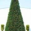 12' Pre-Lit Green Slim Pine Artificial Christmas Tree - Clear Lights 2 12' Pre-Lit Green Slim Pine Artificial Christmas Tree - Clear Lights -Optimal Christmas Shop northlight20v27313 64486.1667536224
