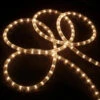 100ft Clear Incandescent Outdoor Christmas Rope Lights