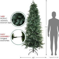 7.5' Green Slim Washington Frasier Fir Artificial Christmas Tree - Unlit -Optimal Christmas Shop northlight b03891 thumbnail 2 45333.1680198193