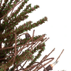 18" Pre-Lit Potted Warsaw Twig Artificial Christmas Tree - Clear Lights 10 18" Pre-Lit Potted Warsaw Twig Artificial Christmas Tree - Clear Lights -Optimal Christmas Shop northlight b03907 2 73603.1667530572