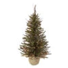 2.5' Pre-Lit Warsaw Two-Tone Twig Artificial Christmas Tree - Clear Lights 2 2.5' Pre-Lit Warsaw Two-Tone Twig Artificial Christmas Tree - Clear Lights -Optimal Christmas Shop northlight b03911 37002.1667663638