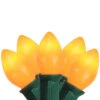 25-Count Opaque Orange C7 Christmas Light Set, 24ft Green Wire 1 25-Count Opaque Orange C7 Christmas Light Set, 24ft Green Wire -Optimal Christmas Shop northlight b4bg8e11 1 02518.1667601502