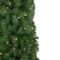 6' X 20" Pre-Lit Traditional Green Pine Pencil Artificial Christmas Tree - Clear Lights 10 6' X 20" Pre-Lit Traditional Green Pine Pencil Artificial Christmas Tree - Clear Lights -Optimal Christmas Shop northlight b83517 3 18896.1673969967