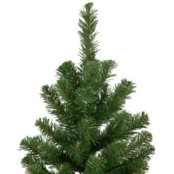 3' Blackwater Fir Medium Artificial Christmas Tree - Unlit -Optimal Christmas Shop northlight b83522 3 31229.1667490053