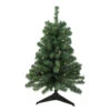 3' Pre-Lit Green Medium Blackwater Fir Artificial Christmas Tree - Clear Lights 1 3' Pre-Lit Green Medium Blackwater Fir Artificial Christmas Tree - Clear Lights -Optimal Christmas Shop northlight b83523new 25548.1667655503
