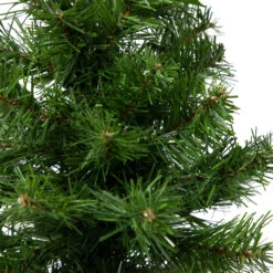 18" Medium Blackwater Fir Artificial Christmas Tree - Unlit -Optimal Christmas Shop northlight b83529 1 98723.1667530758