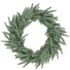 Frasier Fir Artificial Christmas Wreath - 24-Inch, Unlit 1 Frasier Fir Artificial Christmas Wreath - 24-Inch, Unlit -Optimal Christmas Shop northlight b84766 60413.1667663438