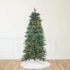 9' Pre-Lit Slim Washington Frasier Fir Artificial Christmas Tree, Clear Lights -Optimal Christmas Shop northlight b84774 77637.1686687596