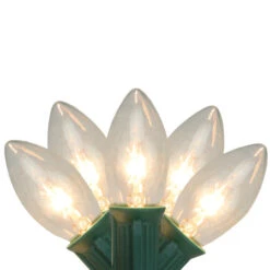 25-Count Clear Transparent C9 Christmas String Light Set, 24ft Green Wire