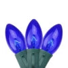 25 Blue Transparent C9 Christmas Lights - 24 Ft Green Wire -Optimal Christmas Shop northlight c42g8411 1 87781.1667663001