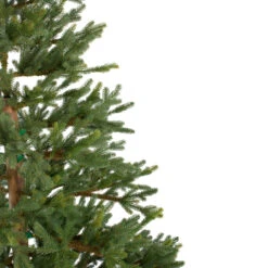 6.5' North Pine Artificial Christmas Tree, Unlit 11 6.5' North Pine Artificial Christmas Tree, Unlit -Optimal Christmas Shop northlight c584780 1 86270.1683224780