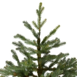 6.5' North Pine Artificial Christmas Tree, Unlit 12 6.5' North Pine Artificial Christmas Tree, Unlit -Optimal Christmas Shop northlight c584780 3 33044.1683224781