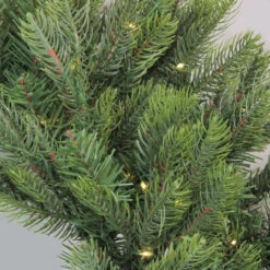 Pre-Lit LED Oregon Noble Fir Artificial Christmas Wreath - 30-Inch, Warm White Lights 8 Pre-Lit LED Oregon Noble Fir Artificial Christmas Wreath - 30-Inch, Warm White Lights -Optimal Christmas Shop northlight gb15592 2 62724.1667573444