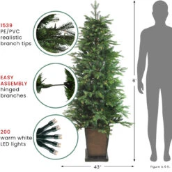 6' Pre-Lit Potted Oregon Noble Fir Slim Artificial Christmas Tree - Warm White LED Lights -Optimal Christmas Shop northlight gb16054 thumbnail 1 18372.1667519987