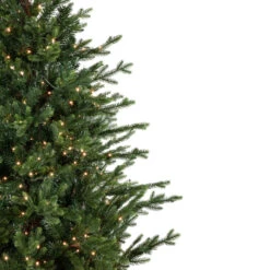 6' Pre-Lit Potted Deluxe Russian Pine Artificial Christmas Tree, Warm White LED Lights -Optimal Christmas Shop northlight gb20ytp457 gr 5 21429.1667553999