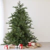 6.5' Pre-Lit Full Oregon Noble Fir Artificial Christmas Tree - Warm White LED Lights -Optimal Christmas Shop northlight gb516800438 sameasgb15590 65258.1667536343