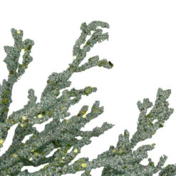 20" Green Glittered Artificial Coral ChristmasWreath -Optimal Christmas Shop northlight gb90530 2 72672.1667531226