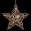 18" Lighted Champagne Gold Glittered Rattan Berry Hanging Star Christmas Window Decoration -Optimal Christmas Shop northlight h85238 1 98044.1669125543