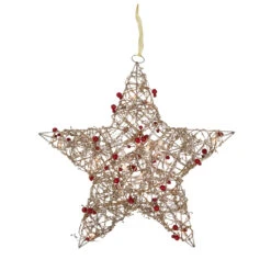 18" Lighted Champagne Gold Glittered Rattan Berry Hanging Star Christmas Window Decoration 9 18" Lighted Champagne Gold Glittered Rattan Berry Hanging Star Christmas Window Decoration -Optimal Christmas Shop northlight h85238 2 33505.1669125543