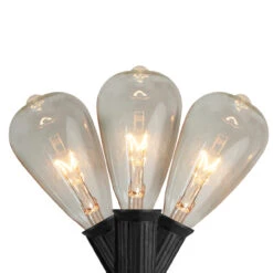 10 Count Clear Edison Glass Patio Lights, 9ft Black Wire