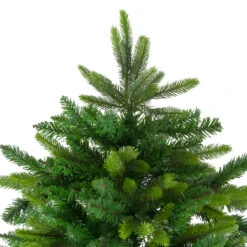 6.5' Full Gunnison Pine Artificial Christmas Tree - Unlit 11 6.5' Full Gunnison Pine Artificial Christmas Tree - Unlit -Optimal Christmas Shop northlight hb27086 2 65755.1667572641