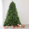 6.5' Full Gunnison Pine Artificial Christmas Tree - Unlit -Optimal Christmas Shop northlight hb27086 86457.1667572640
