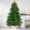 9' Pre-Lit Juniper Pine Artificial Christmas Tree, Warm White LED Lights 1 9' Pre-Lit Juniper Pine Artificial Christmas Tree, Warm White LED Lights -Optimal Christmas Shop northlight hb92567 1 75771.1667530272