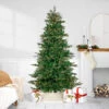 7.5' Pre-Lit Hudson Fir Artificial Christmas Tree, Warm White LED Lights -Optimal Christmas Shop northlight hb92572 1 49696.1667663809