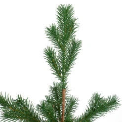 2' Ponderosa Pine Artificial Christmas Tree Jute Base Decoration – Unlit 11 2' Ponderosa Pine Artificial Christmas Tree Jute Base Decoration – Unlit -Optimal Christmas Shop northlight hn91121 1 62958.1667533503