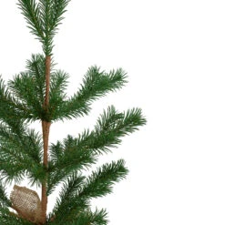 2' Ponderosa Pine Artificial Christmas Tree Jute Base Decoration – Unlit 10 2' Ponderosa Pine Artificial Christmas Tree Jute Base Decoration – Unlit -Optimal Christmas Shop northlight hn91121 2 41308.1667533503