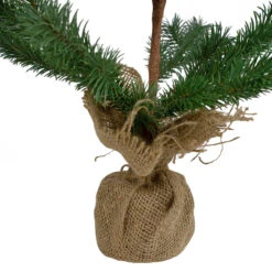 2' Ponderosa Pine Artificial Christmas Tree Jute Base Decoration – Unlit 12 2' Ponderosa Pine Artificial Christmas Tree Jute Base Decoration – Unlit -Optimal Christmas Shop northlight hn91121 3 74199.1667533503