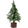 10.5" Frosted Icy Pine Christmas Tree With Jute Base 2 10.5" Frosted Icy Pine Christmas Tree With Jute Base -Optimal Christmas Shop northlight hn92685 1 pre20list 36445.1683731250