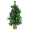 23.5" Mixed Pine And Pine Cones Artificial Christmas Tree In Jute Base 1 23.5" Mixed Pine And Pine Cones Artificial Christmas Tree In Jute Base -Optimal Christmas Shop northlight hn92705 1 pre20list 96594.1667530228