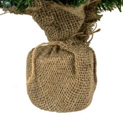 18" Pre-Lit Two-Tone Green Pine Artificial Christmas Tree In Burlap, Clear LED Lights 9 18" Pre-Lit Two-Tone Green Pine Artificial Christmas Tree In Burlap, Clear LED Lights -Optimal Christmas Shop northlight j00065 4 27049.1667530694