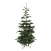 7.5ft Layered Nordmann Fir Artificial Christmas Tree - Unlit -Optimal Christmas Shop northlight j00083 1 79322.1667659182