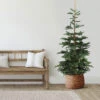 9' Layered Nordmann Fir Artificial Christmas Tree - Unlit -Optimal Christmas Shop northlight j00083 1 92053.1667659823