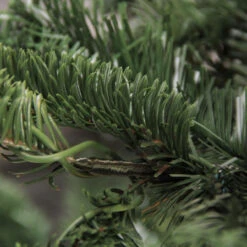 7.5ft Layered Nordmann Fir Artificial Christmas Tree - Unlit -Optimal Christmas Shop northlight j00083 3 45489.1667659183