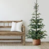 6.5' Pre-Lit Nordmann Fir Artificial Christmas Tree, Warm Clear LED Lights -Optimal Christmas Shop northlight j00086 01 80027.1687966319