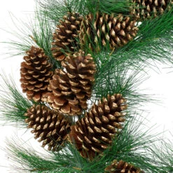 Long Needle Pine And Pine Cone Artificial Christmas Wreath - 24-Inch, Unlit -Optimal Christmas Shop northlight kji28182 2 35091.1667575837