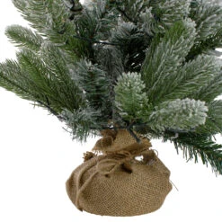 2' B/O Potted Frosted Pine Medium Artificial Christmas Tree In A Burlap Pot- Warm White Lights 9 2' B/O Potted Frosted Pine Medium Artificial Christmas Tree In A Burlap Pot- Warm White Lights -Optimal Christmas Shop northlight kji91318 1 33542.1667573246