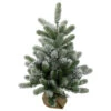 2' B/O Potted Frosted Pine Medium Artificial Christmas Tree In A Burlap Pot- Warm White Lights 2 2' B/O Potted Frosted Pine Medium Artificial Christmas Tree In A Burlap Pot- Warm White Lights -Optimal Christmas Shop northlight kji91318 74661.1667573245